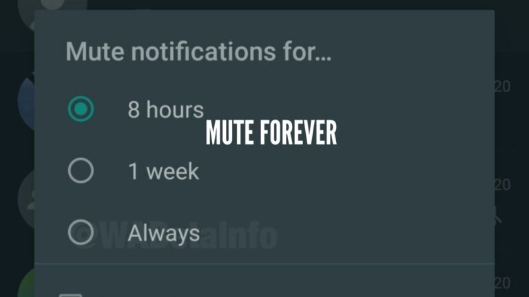 whatsapp mute beta update