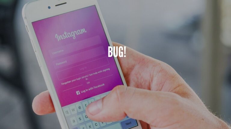 instagram bug