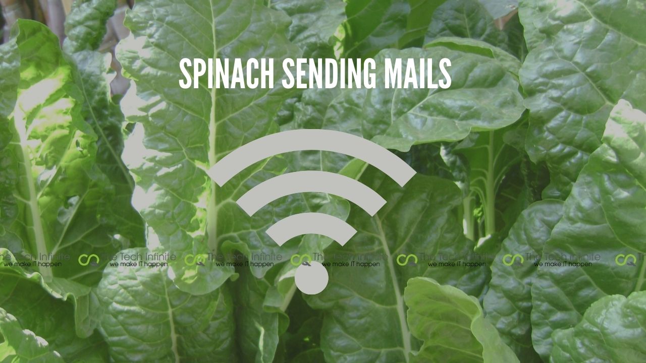 spinach sending mails